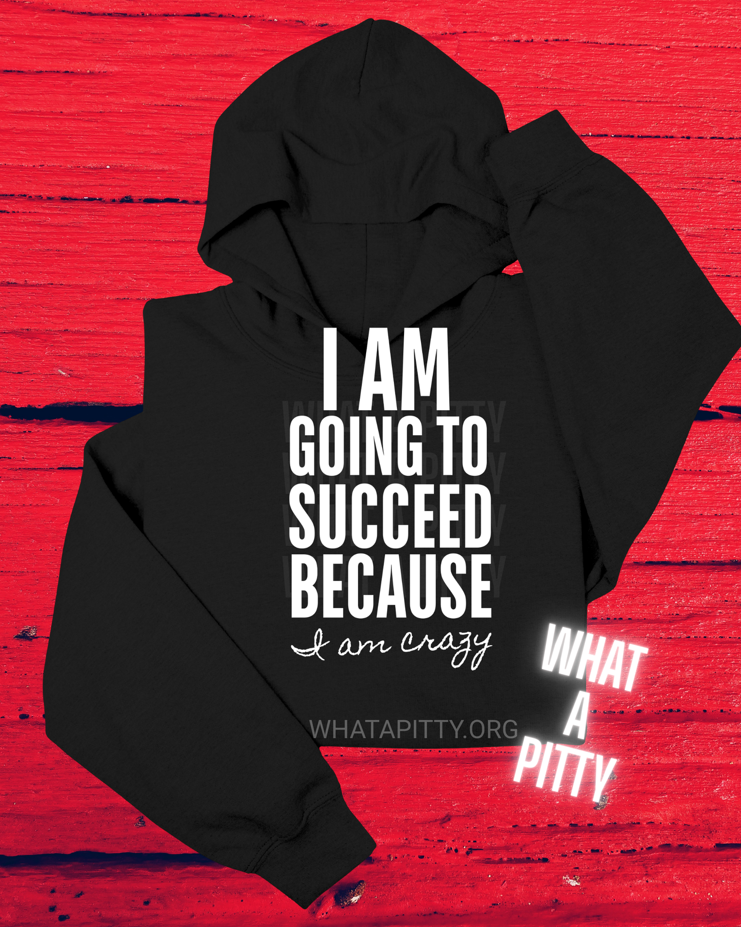 I am going to Succeed because I am Crazy