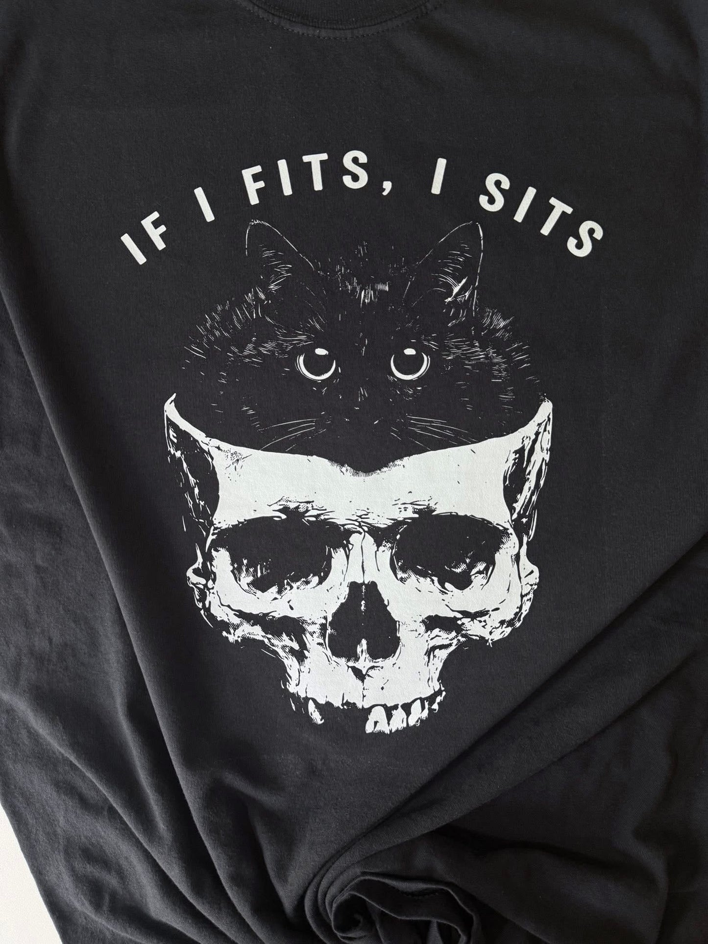 If I fits I sits cat in skull