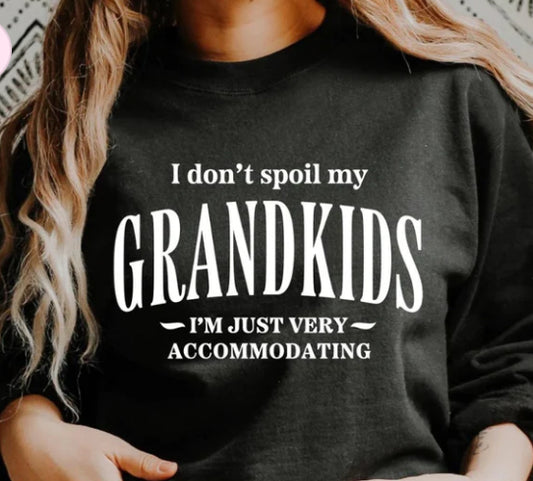 I don't spoil my GRANDKIDS tee