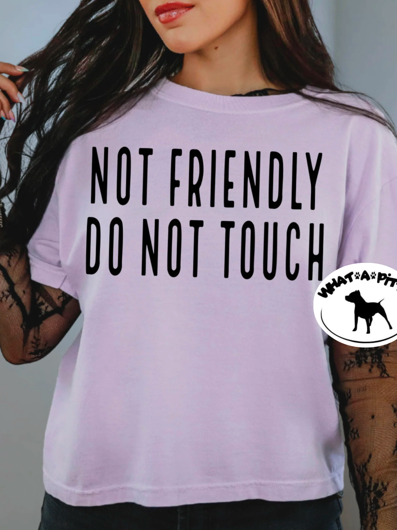 Not Friendly Do Not Touch tee