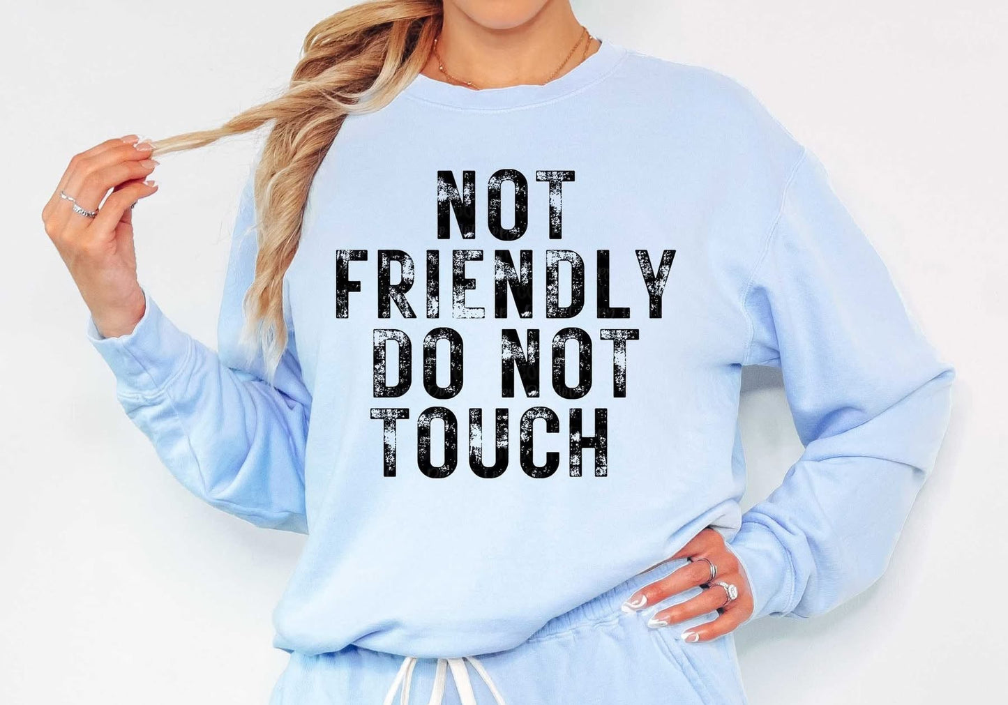 Not Friendly Do Not Touch distressed tee