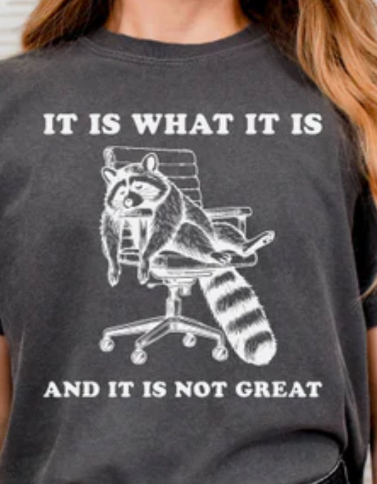 It is what it is tee