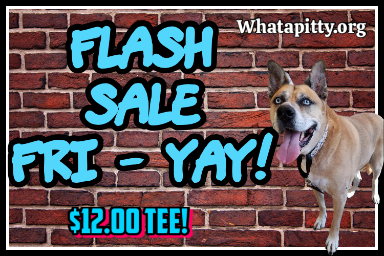 Flash Sale Friday!