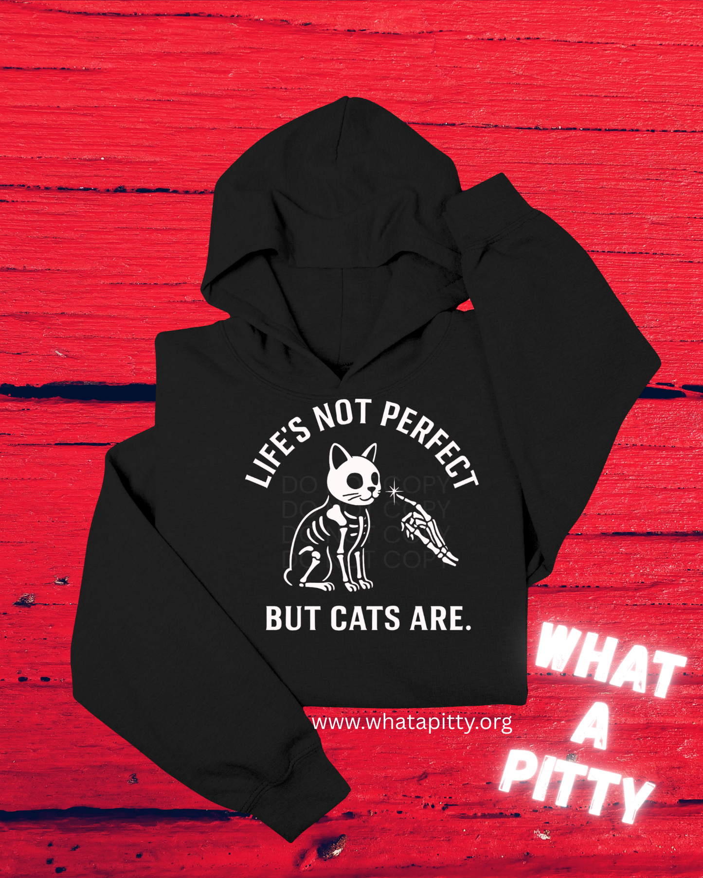 Life's not perfect but cats are