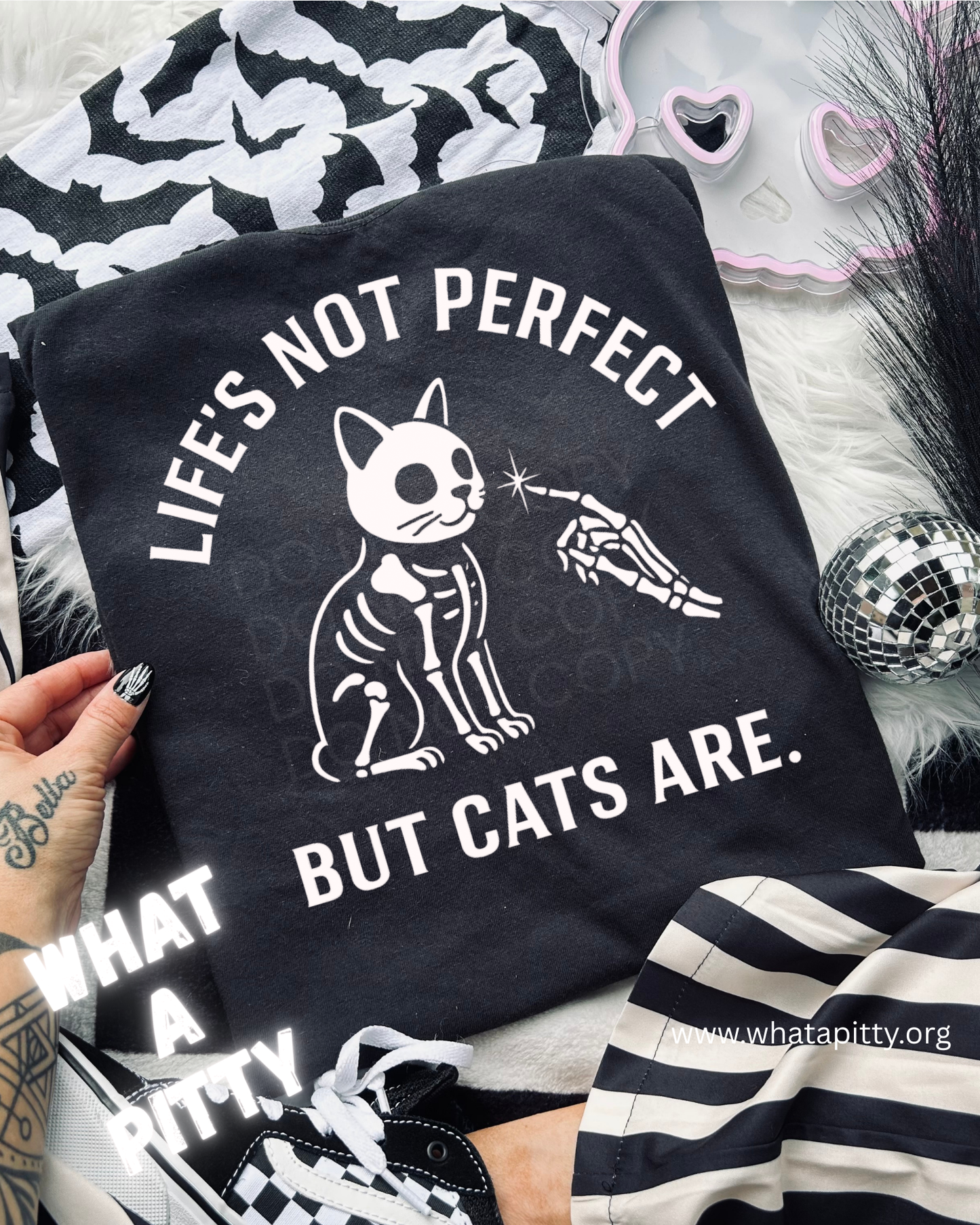Life's not perfect but cats are