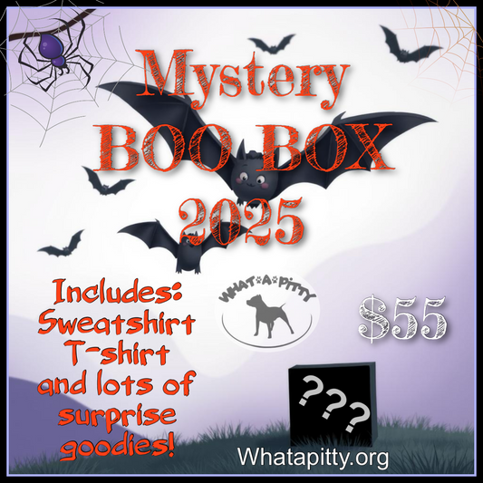 Mystery BOO BOX 2025!