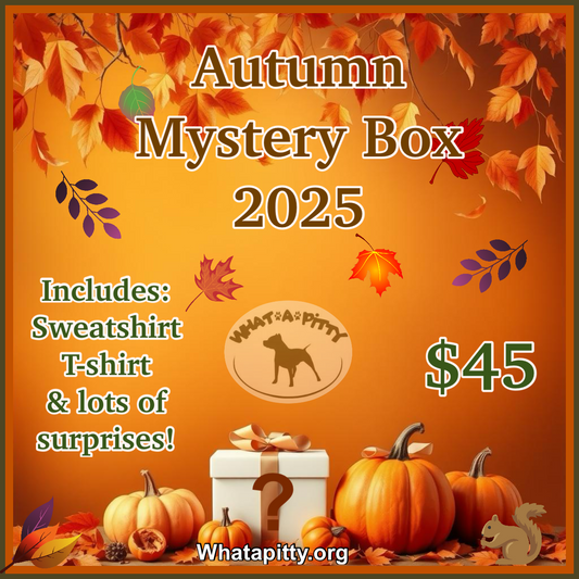 Mystery AUTUMN 2025!