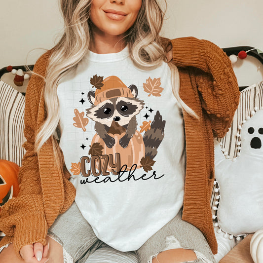 Cozy Weather Raccoon tee