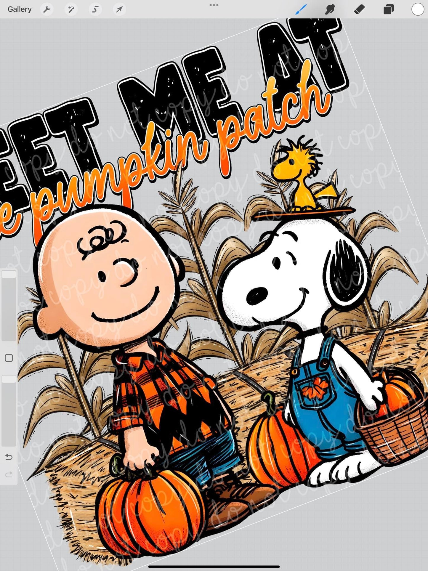 Meet Me at the Pumpkin Patch tee