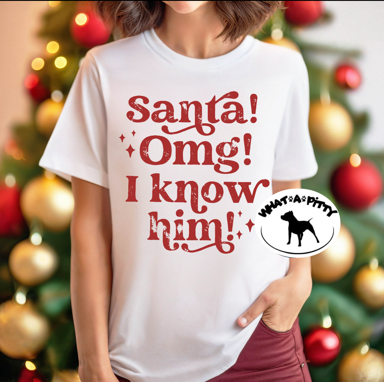 Santa! OMG I know him!