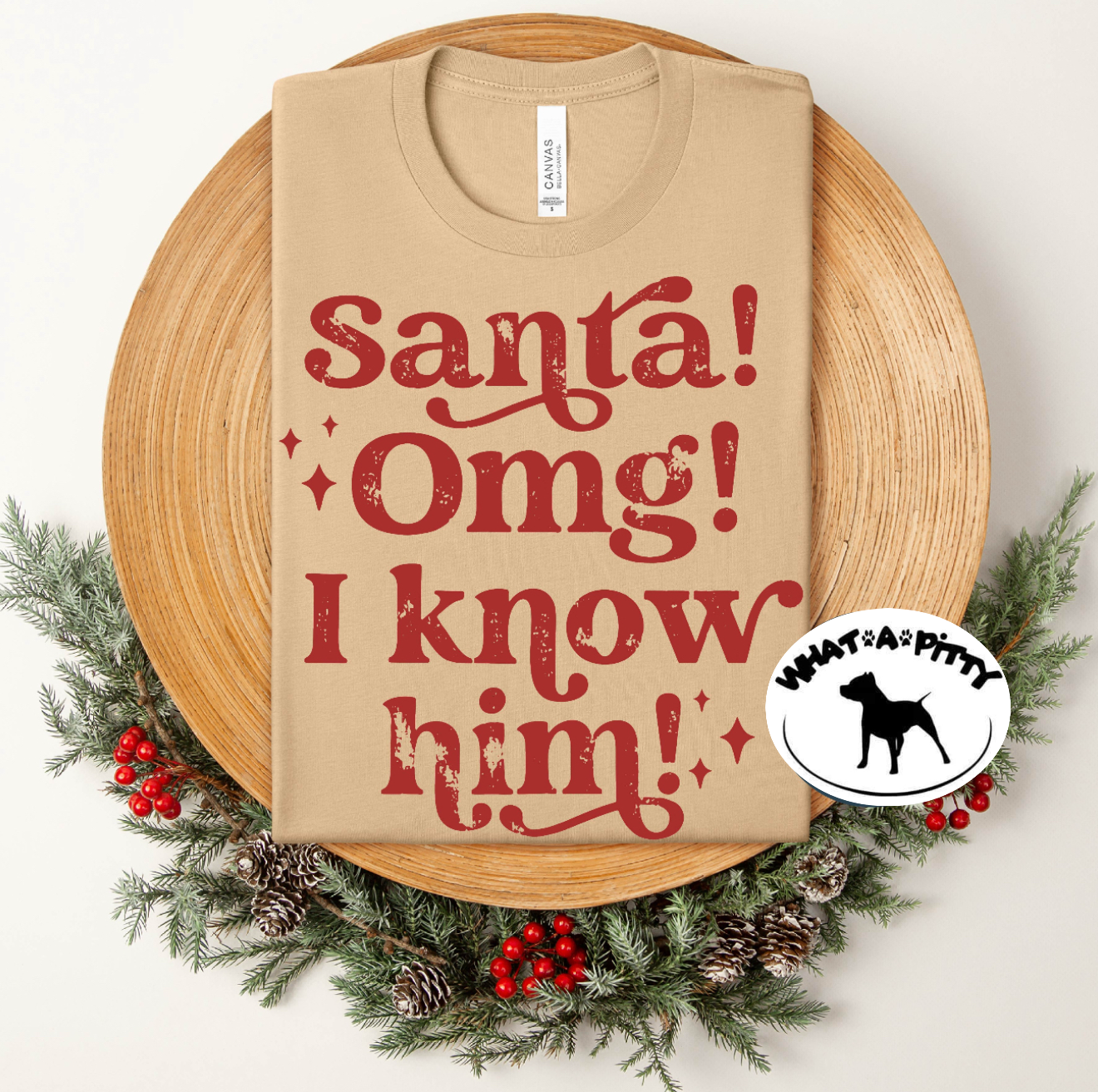 Santa! OMG I know him!