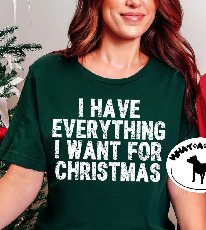 I have everything I want for Christmas tee - Couples shirts