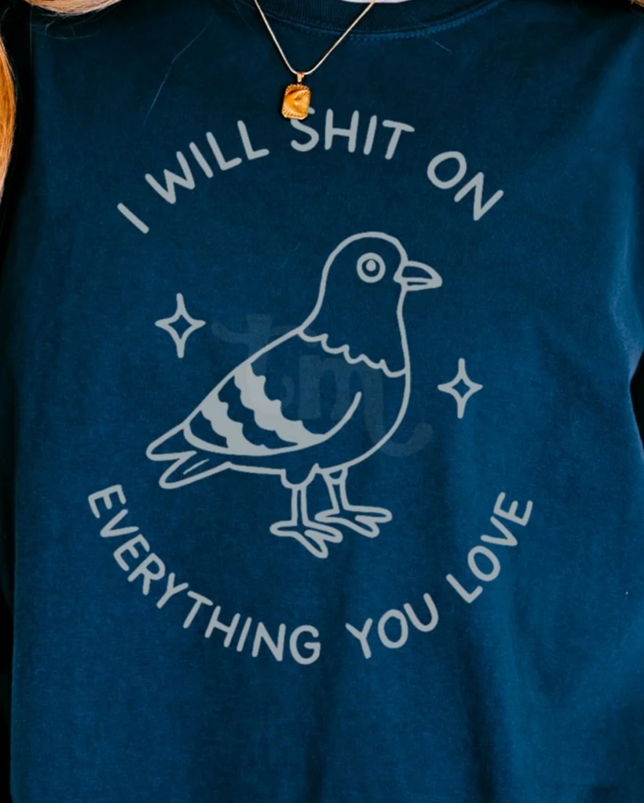 I will shit on everything you love tee