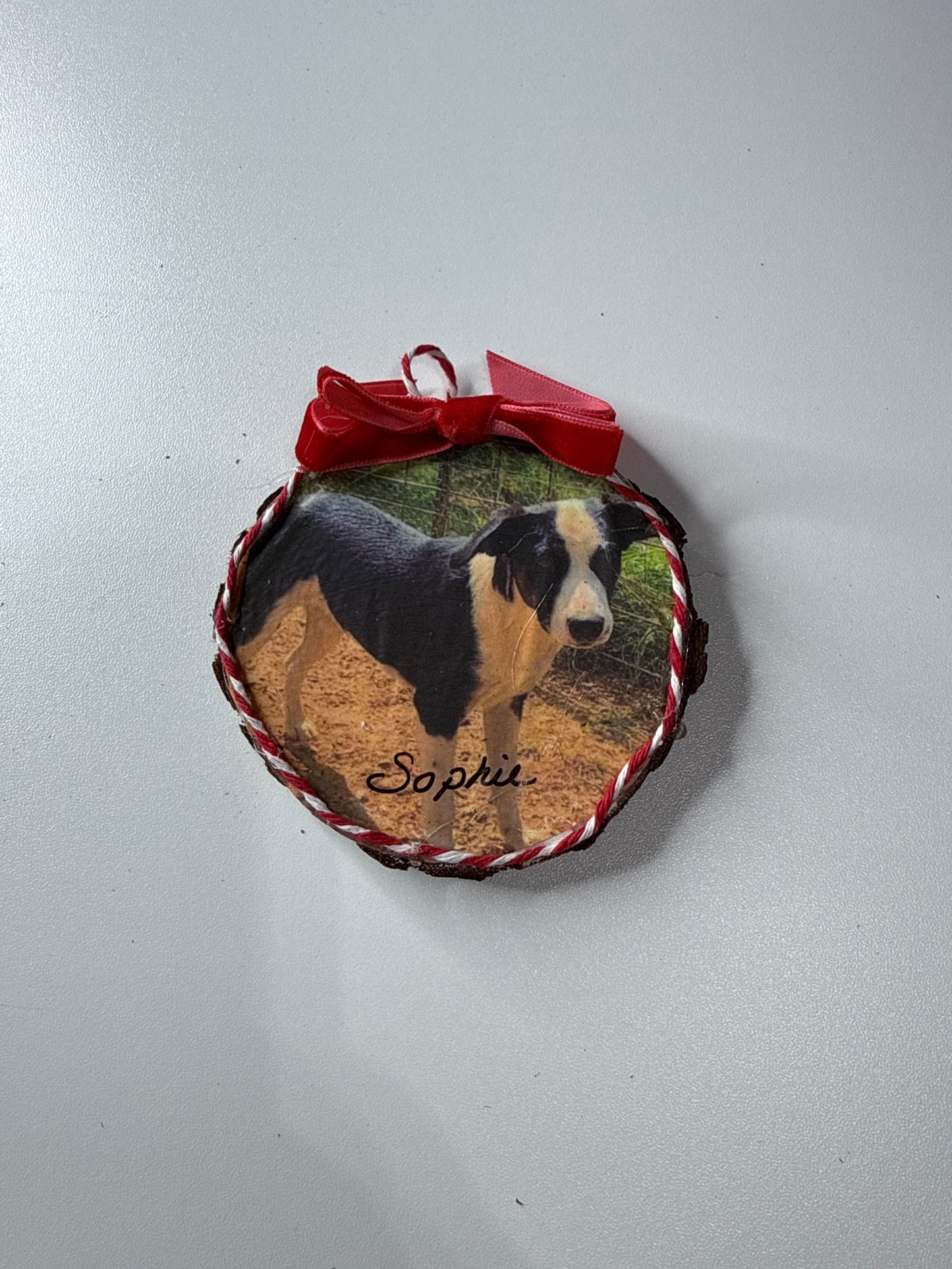 RESCUE RIDGE ALABAMA DOG ORNAMENT SPONSORSHIP $25.00