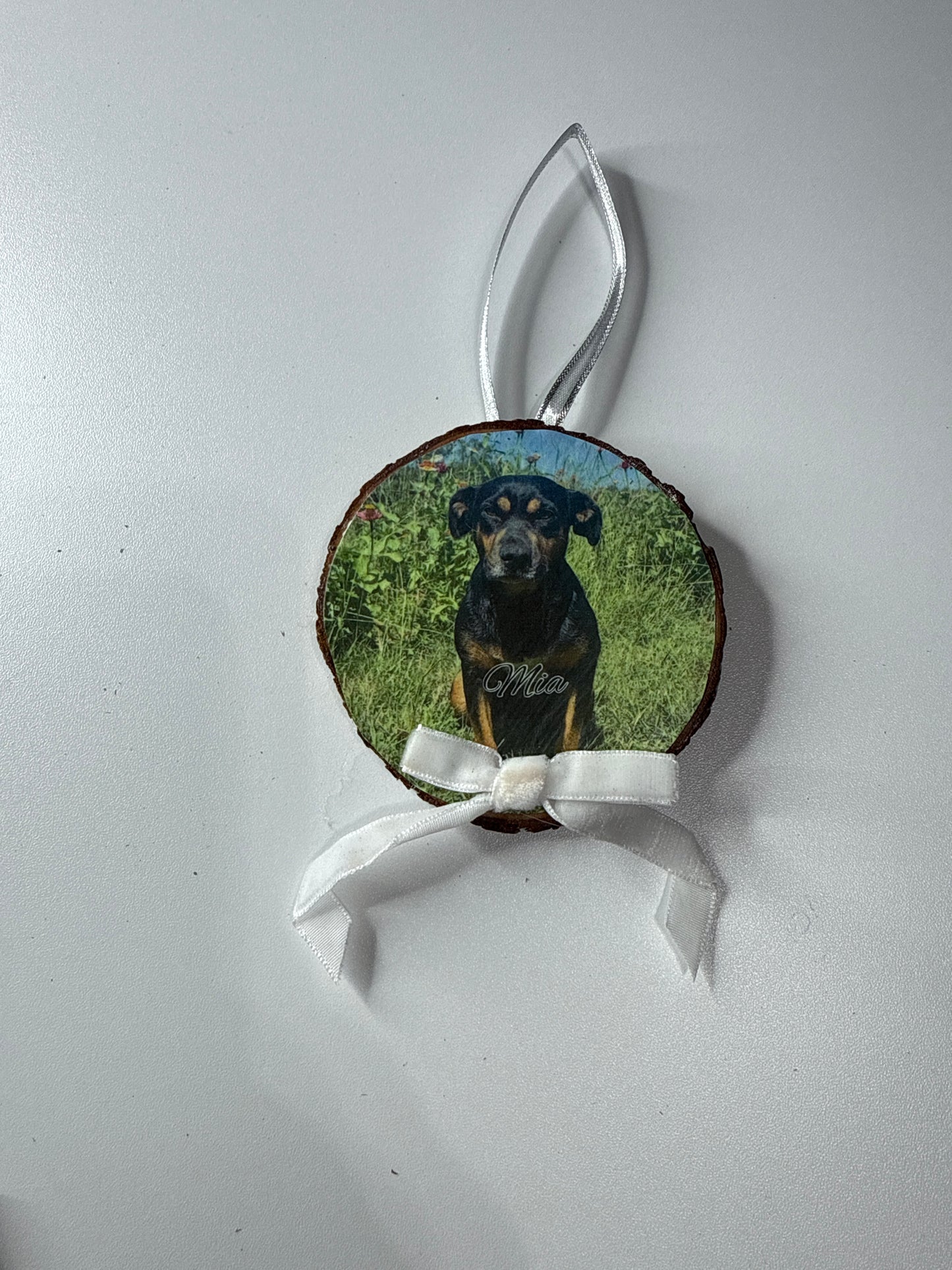 RESCUE RIDGE ALABAMA DOG ORNAMENT SPONSORSHIP $25.00