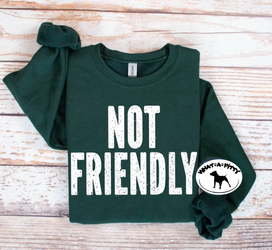 Not Friendly tee