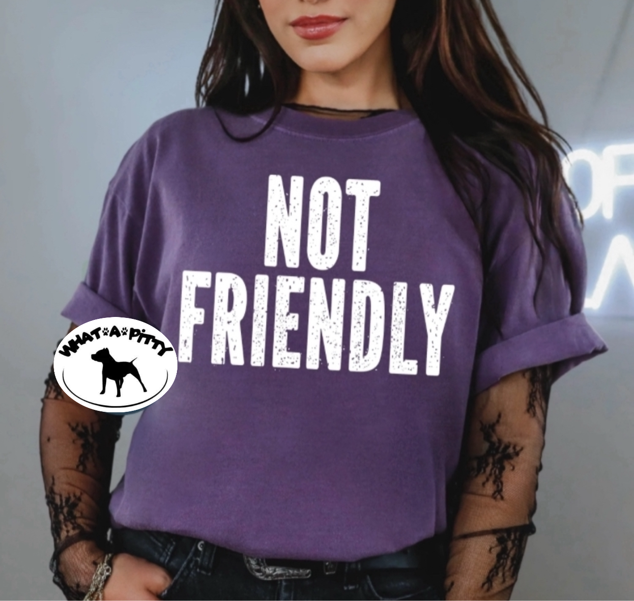 Not Friendly tee